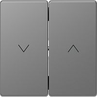 Лицевая панель Schneider Electric Merten D-Life для 2-кл. выключателя жалюзи сталь картинка